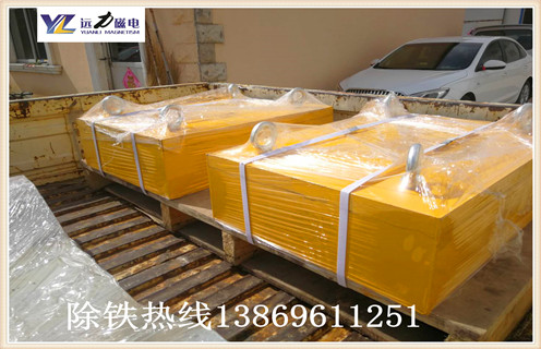 全國正規(guī)除鐵器廠家哪家好遠力除鐵器廠家合您心意 全國正規(guī)除鐵器廠家哪家好遠力除鐵器廠家合您心意